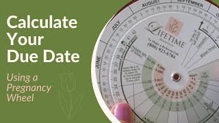 How to Use Pregnancy Wheels to Calculate Your Due Date [upl. by Eskil]