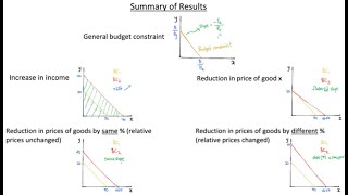 Consumer Budget Constraint [upl. by Teerprug463]