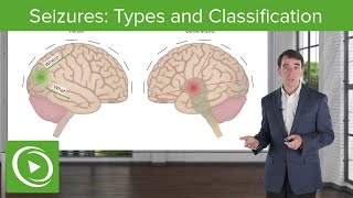 Seizures Types and Classification  Clinical Neurology [upl. by Hyde]