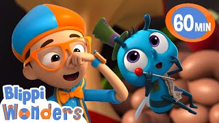 Blippi finds out why flies love garbage  Blippi Wonders Educational Videos for Kids [upl. by Anna]