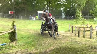 HELLEGERS Frans NED CAI2 H1 SINGLE Horst 2014 Marathon O 5 [upl. by Sewellyn43]