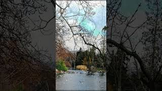 Beautiful view in stadtpark vienna birds lake relaxed music [upl. by Kannry]