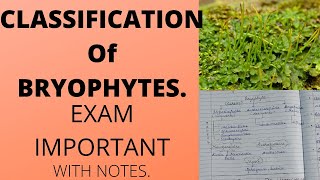 CLASSIFICATION OF BRYOPHYTESbsc botany [upl. by Derry]