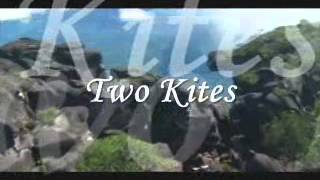 Two Kites  Antonio Carlos Jobim [upl. by Shrier279]