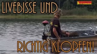 Welse klopfen  Die richtige Technik [upl. by Ynaiffit]