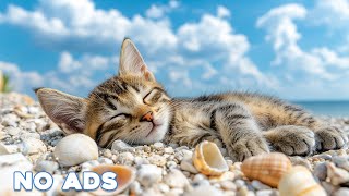 12 Hours Anti Anxiety Music For Cats 🐈 Stress Relief Music For Cats ♬ Calming Music For Cats [upl. by Idram]