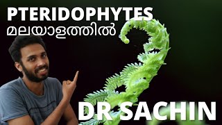 pteridophytes  plant kingdom  malayalam  pteridophytes class 11 plus one  NEET [upl. by Cherlyn640]