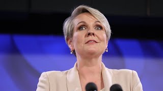 Letter reveals ‘no basis’ for Indigenous heritage claim in Plibersek’s gold mine disaster [upl. by Kathryne]