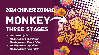 2024 CHINESE ZODIAC  MONKEY SUB [upl. by Enirual11]