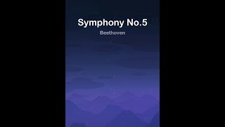 Symphony No 5  Beethoven Piano Dream [upl. by Doykos]