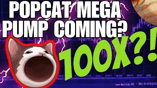 POPCAT COIN MASSIVE BREAKOUT [upl. by Akemot]