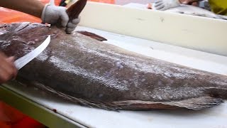 Fish Filleting Grouper [upl. by Htirehc521]