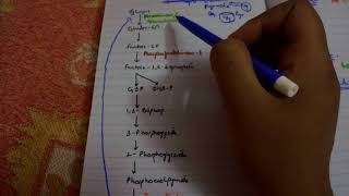 GLUCONEOGENESIS complete EASIEST explanation part 1 [upl. by Blockus125]