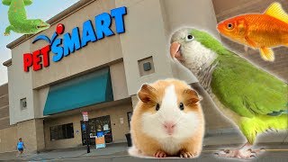 EXPLORING PETSMART  ANIMAL FRIENDS EVERYWHERE [upl. by Franzoni]