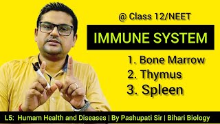 L5 Immune system  Bone Marrow  Thymus  Spleen  Peyers Patches  Lymph nodes [upl. by Cockburn]