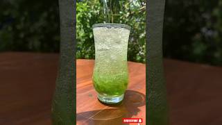 Aloe vera  Komarika 😍 shortvideo trending viral youtubeshorts juice [upl. by Chaille]