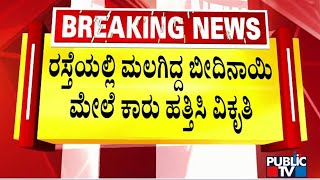 ಬೆಳ್ಳಂದೂರಿನಲ್ಲಿ ಬೀದಿ ನಾಯಿ ಮೇಲೆ ಕಾರು ಹತ್ತಿಸಿ ವಿಕೃತಿ  Bellandur [upl. by Kenleigh886]