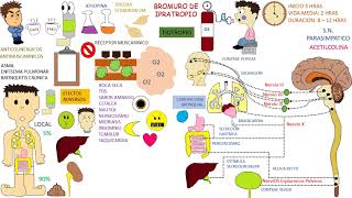 Farmacologia BROMURO DE IPRATROPIO [upl. by Hedvige]