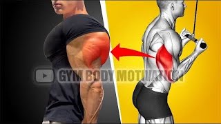 6 Best Shoulder Exercises For Bigger Delts Shoulder Workout Ranking Triceps Exercises For HUGE Arms [upl. by Greysun]