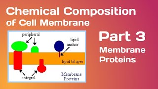 Chemical Composition of Cell MembranePart 3 Membrane Proteins [upl. by Mendoza]