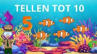 Leren Tellen Nederlands ☆ Van 1 tot 10 Leren Tellen ☆ Cijfers Leren Voor Peuters En Kleuters ☆ [upl. by Elenore624]