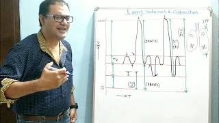 Lung Volumes and Capacities PartI Including Closing Volume [upl. by Ereveneug58]