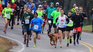 Dog Accidently Joins Half Marathon Finishes Race In 7th Place [upl. by Nisaj726]