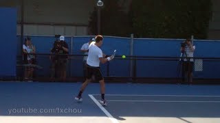 Novak Djokovic  Slow Motion Backhand Returns in HD [upl. by Flanna]