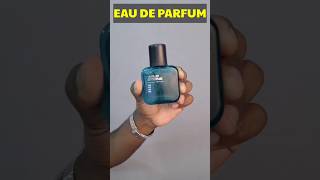 💥Wild stone Edge Perfume honest review🔥 Best summer perfume fashionthamizha tamilfashion shorts [upl. by Ocsicnarf]