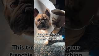 Cute dog in a cone matching a coffeemug 🐶☕️🥰 dog music shorts [upl. by Marya]