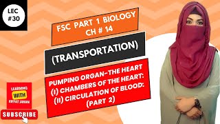 Ch14 Lec 30  PUMPING ORGANTHE HEART Part 2 Chambers of the Heart Circulation of Blood [upl. by Tletski]