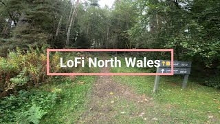 Walk around Bod Petryal Clocaenog forest Ambient Sounds Unwind  Relax Chill Out Study in 4K [upl. by Anima]