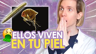 Estos BICHOS viven DE TU PIEL  Parasitosis  PODRIAS TENERLOS EN TU CUERPO  Simon Scarano [upl. by Enyar15]