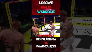 Denis Labryga VS Dawid Załęcki  W Skrócie shorts labryga dawidzałęcki famemma walka [upl. by Dowski]