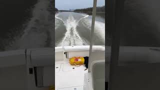 The PERFECT BOAT  2000 Pursuit 3400 w Volvo Diesels boat pursuit diesel volvo sportfishing [upl. by Atirak]