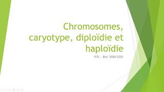 Chromosomes caryotype diploïdie et haploïdie [upl. by Eardnaed]