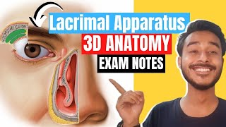 lacrimal apparatus anatomy 3d  anatomy of lacrimal apparatus  lacrimal gland anatomy [upl. by Einot751]