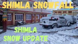 Seasons first snowfall in Shimla Himachal Pradesh  Shimla Snowfall [upl. by Annenn28]