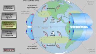 Global Atmospheric Circulation [upl. by Aubrette]