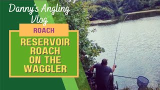 RESERVOIR ROACH ON THE WAGGLER [upl. by Averir]