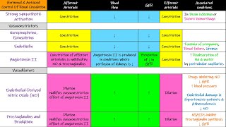 Hormonal amp Autacoid control of Renal Circulation Chapter 27 part 5 Guyton and Hall Physiology [upl. by Ellis]