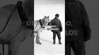 Amundsen vs Scott LA CARRERA POR EL POLO SUR [upl. by Premer]