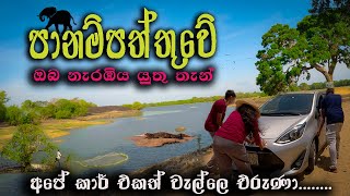 Places to Visit in Arugam Bay Panama Sri Lanka travel srilanka [upl. by Sew240]