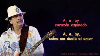 Carlos Santana  Corazon Espinado Instrumental [upl. by Greyso787]