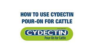 How to Use Cydectin PourOn for Cattle [upl. by Hurlow16]