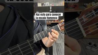 Ejercicio diario para guitarra shortvideo guitarra flamenco shortsviral guitar challenge [upl. by Arutak260]