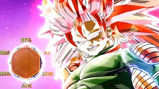 The Definitive Super Saiyan God Build [upl. by Llenrad237]