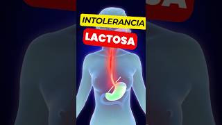 Que Síntomas Causa la INTOLERANCIA a la LACTOSA [upl. by Rita]