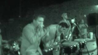 The Barrel House Boys feat Louis Prima Jr Just a Gigolo [upl. by Bultman]