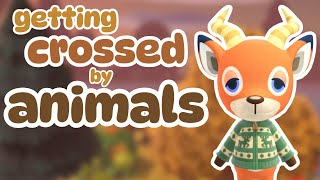 🔴NEW ISLAND Animal Crossing New Horizons ACNH LIVE [upl. by Swanhildas]